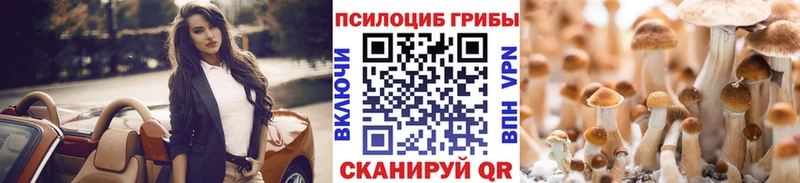 продажа наркотиков  Абинск  Галлюциногенные грибы GOLDEN TEACHER 