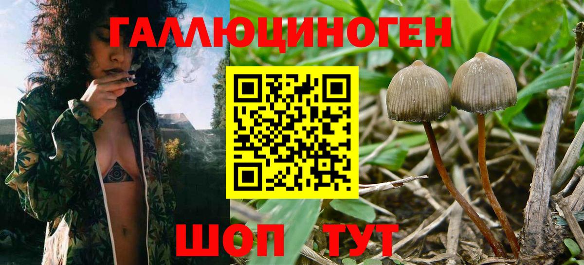 Псилоцибиновые грибы MAGIC MUSHROOMS  цена   Абинск  Вход с VPN 