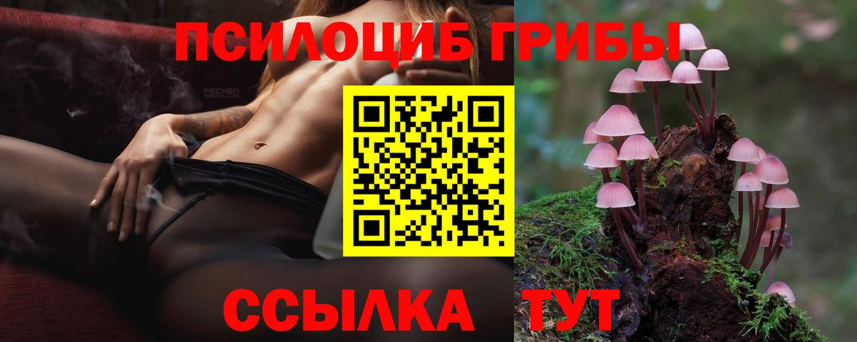Псилоцибиновые грибы Psilocybe Абинск