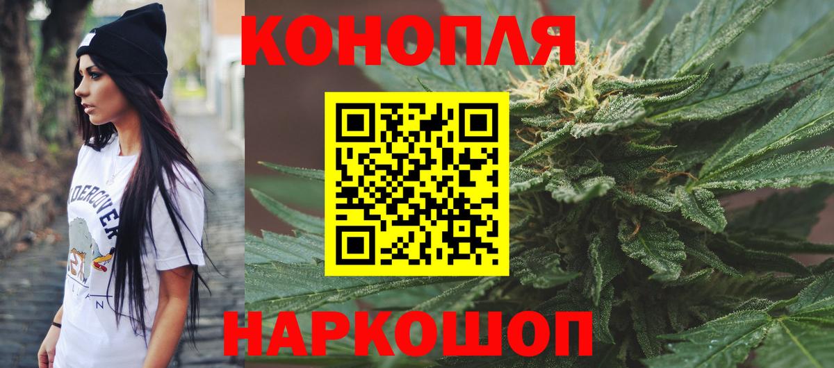 Бошки Шишки Абинск