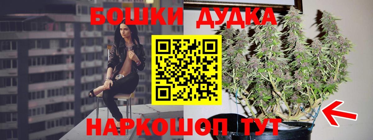 Бошки марихуана планчик  Марихуана ГИДРОПОН  Вход с VPN  Абинск 